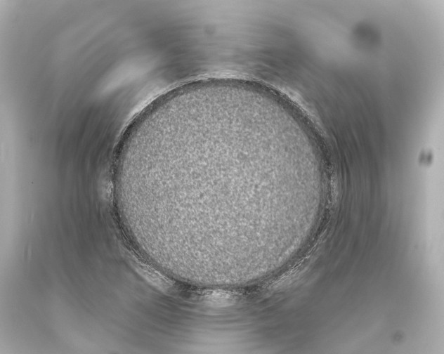 X0000093361266200711011200