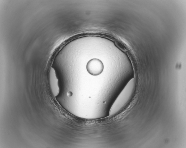 X0000093361267200711011200