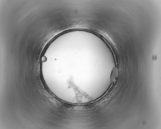 X0000093361268200711011159