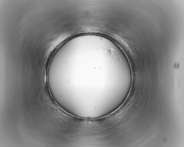 X0000093361269200711011159