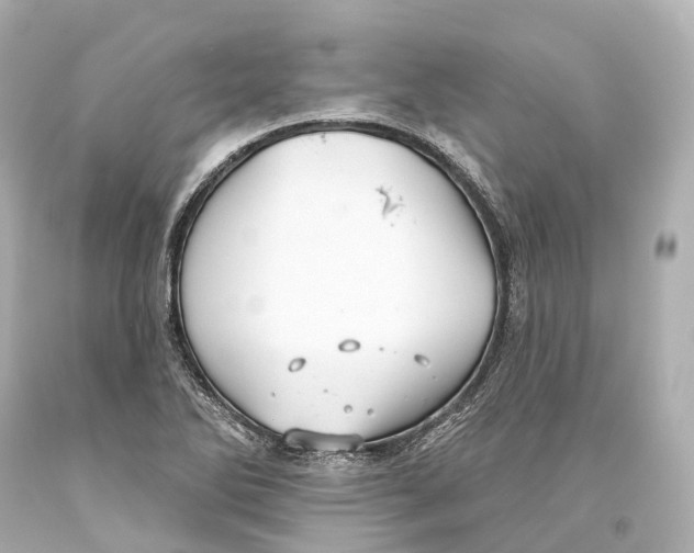 X0000093361270200711011159