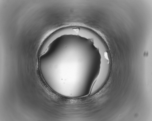 X0000093361271200711011159