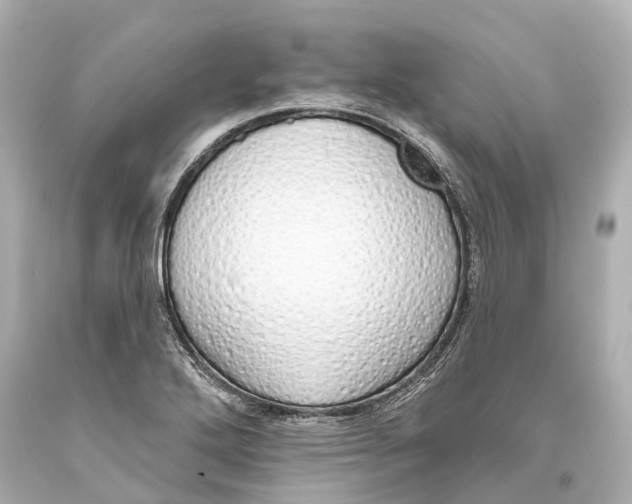 X0000093361272200711011159