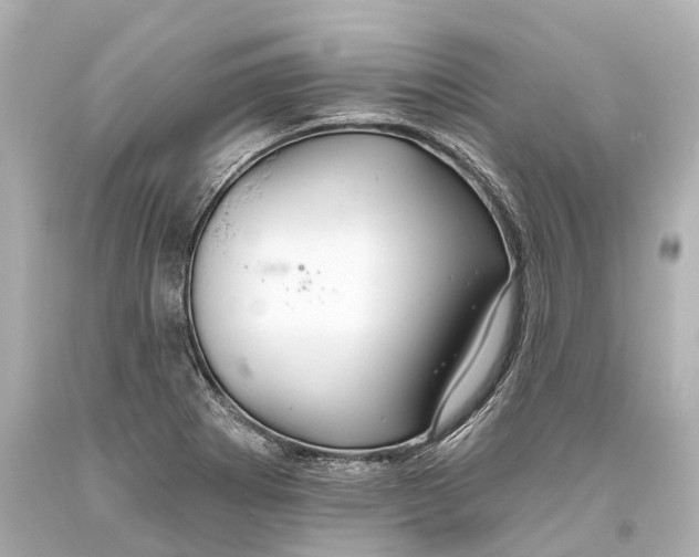 X0000093361273200711011159