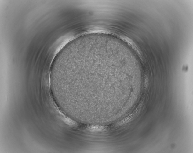 X0000093361274200711011159