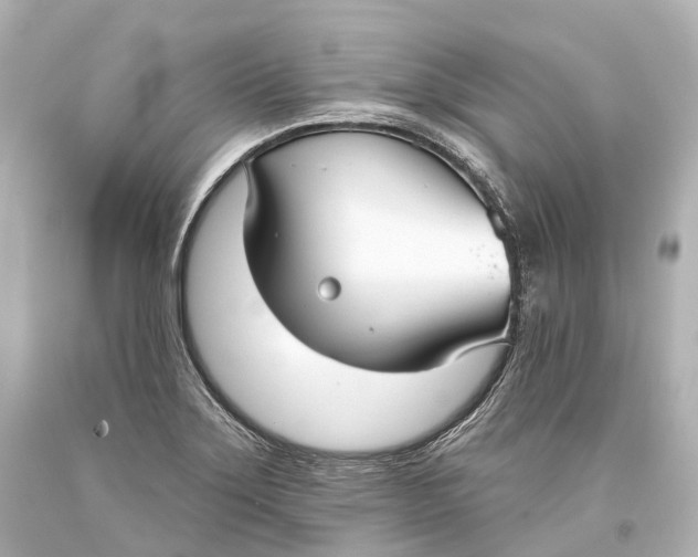 X0000093361275200711011159