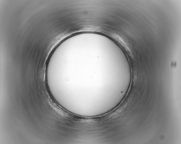 X0000093361276200711011159