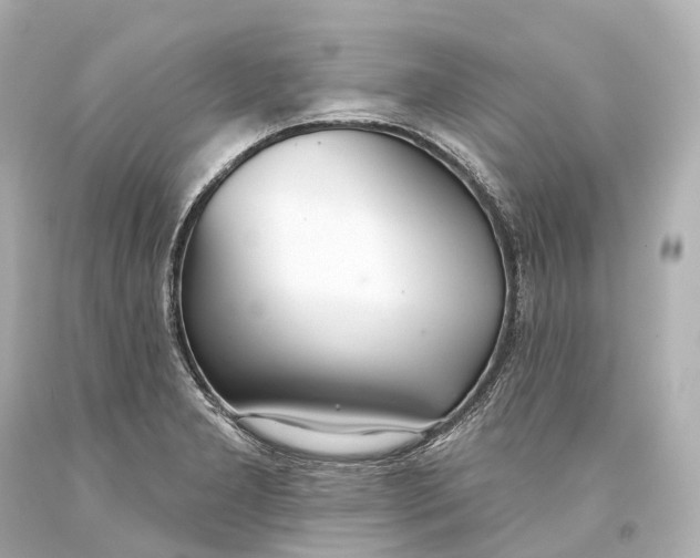 X0000093361277200711011159