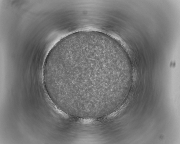 X0000093361278200711011159