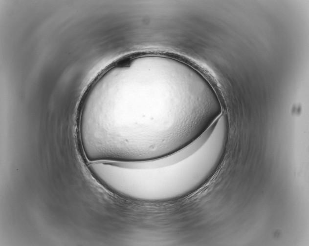 X0000093361279200711011159