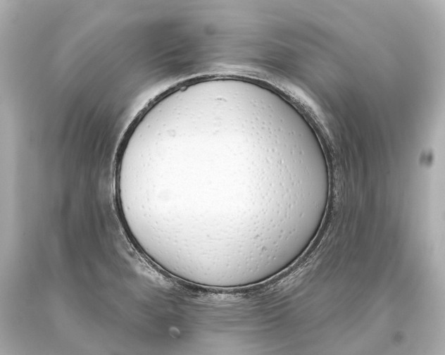 X0000093361280200711011159