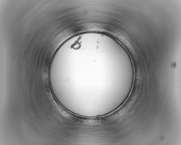 X0000093361281200711011159