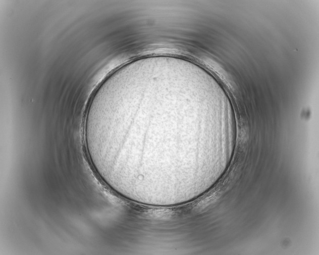 X0000093361282200711011159