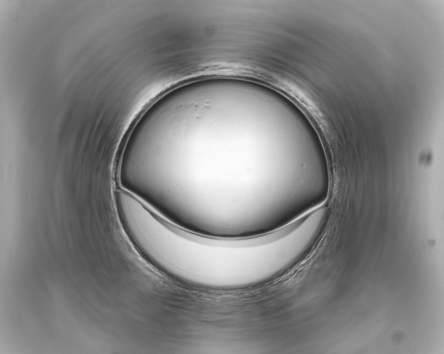 X0000093361283200711011159