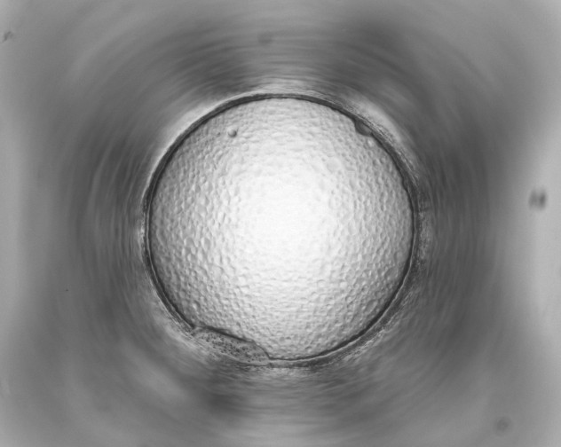 X0000093361284200711011159