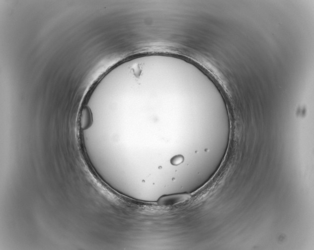 X0000093361285200711011159