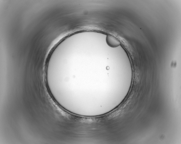 X0000093361286200711011159