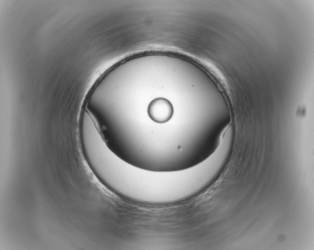 X0000093361287200711011159