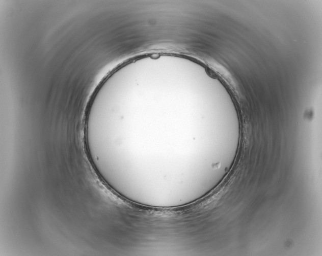 X0000093361288200711011159