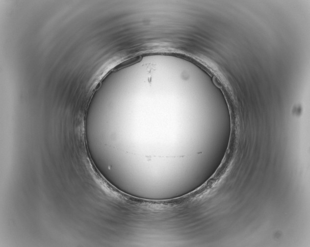 X0000093361289200711011159