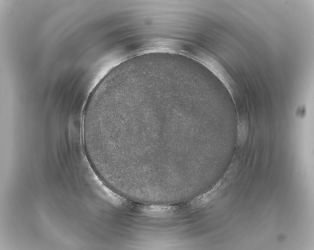 X0000093361290200711011159