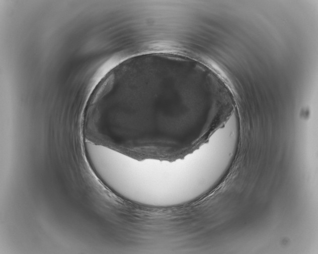 X0000093361291200711011159