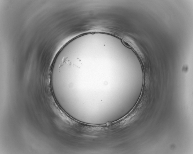 X0000093361292200711011159