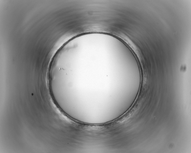 X0000093361293200711011159