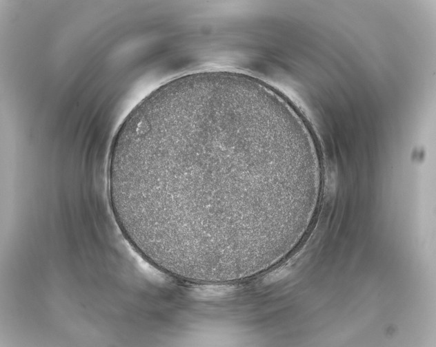 X0000093361294200711011159