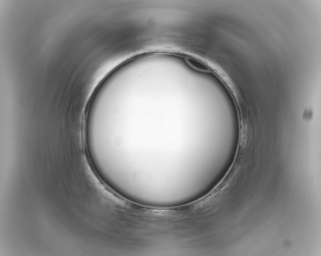 X0000093361295200711011159