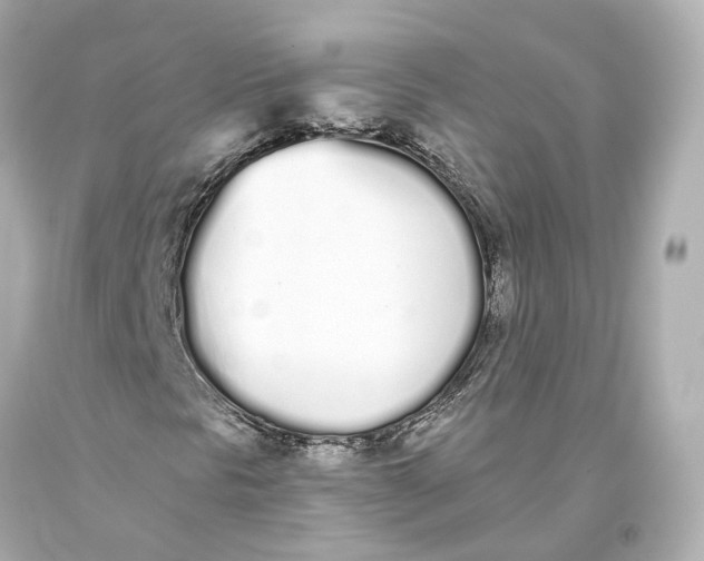 X0000093361297200711011159