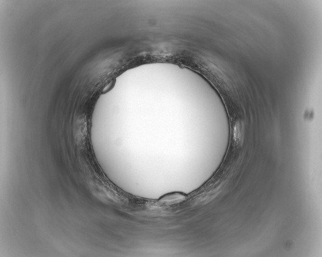 X0000093361299200711011159