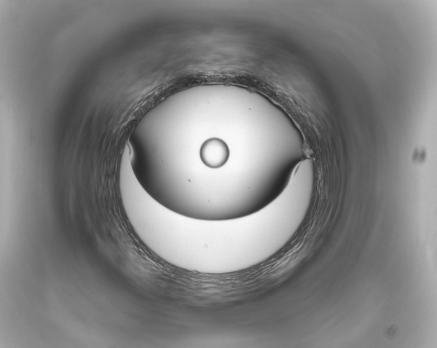 X0000093361300200711011159