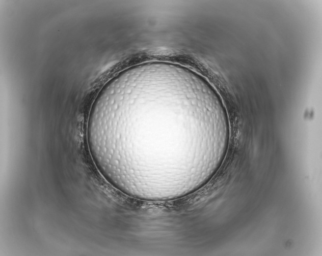 X0000093361301200711011159