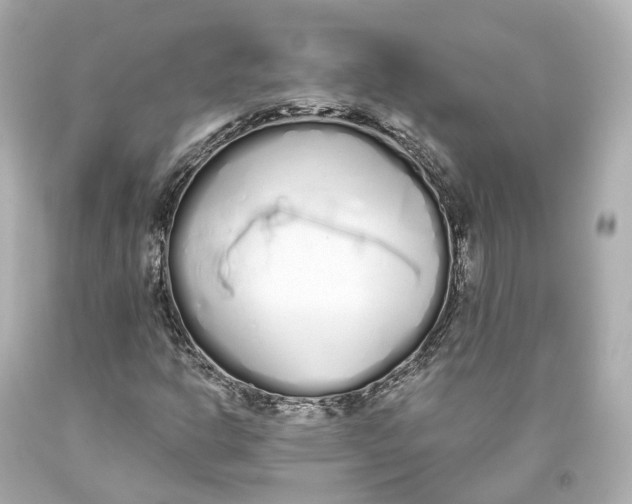 X0000093361302200711011159