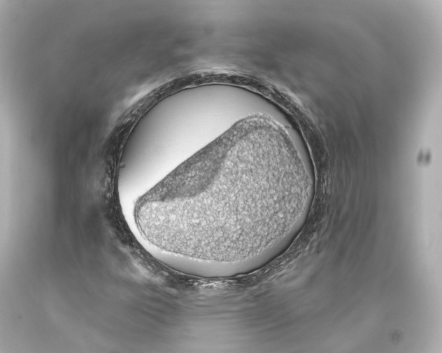 X0000093361303200711011159