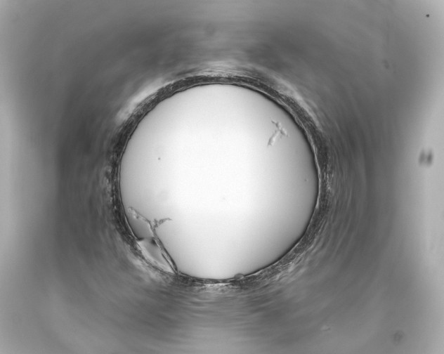 X0000093361304200711011159