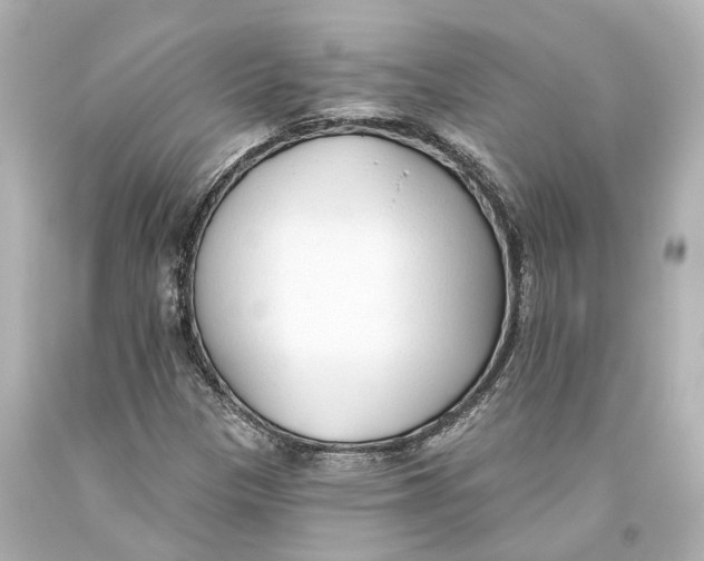 X0000093361305200711011159