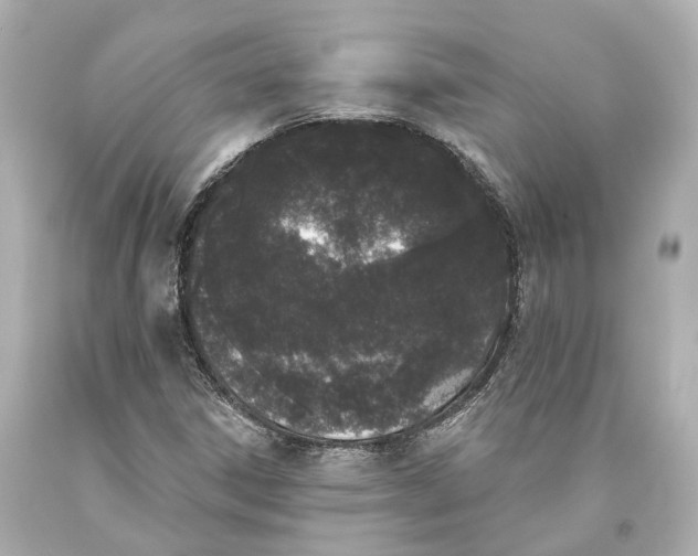 X0000093361306200711011159