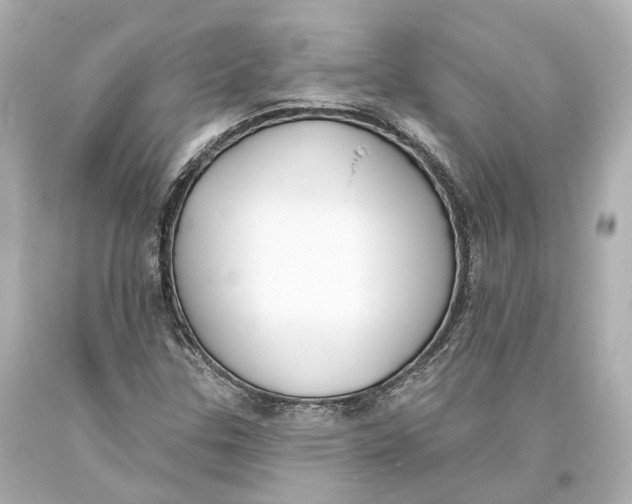 X0000093361307200711011159