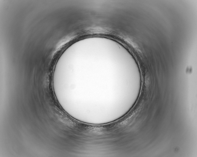 X0000093361309200711011159