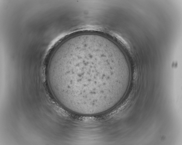 X0000093361310200711011159