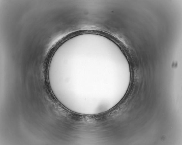 X0000093361311200711011159