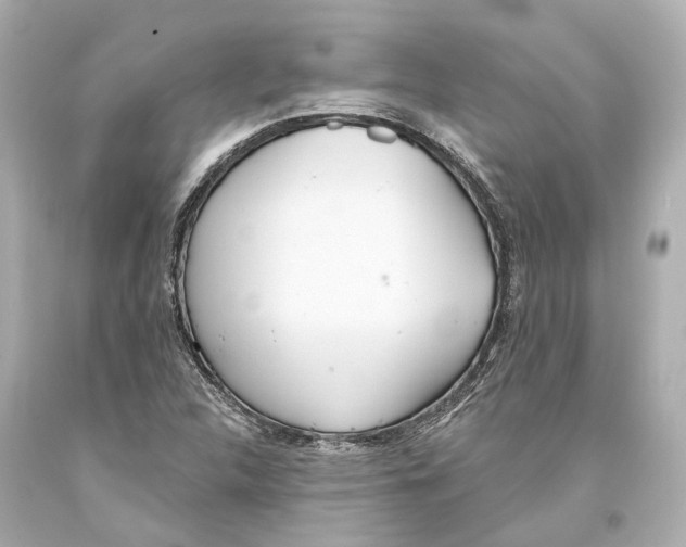 X0000093361312200711011159