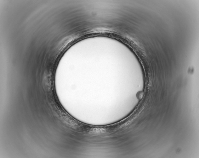 X0000093361313200711011159