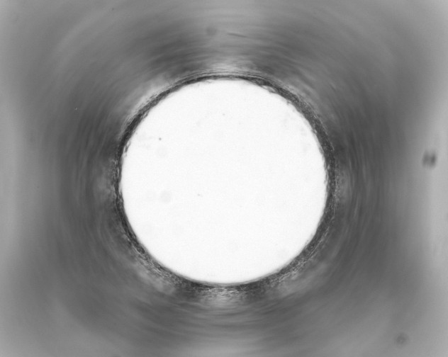 X0000093361314200711011159