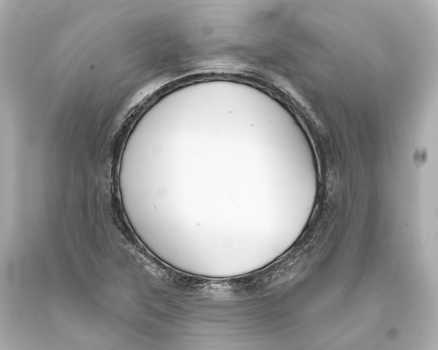 X0000093361315200711011159