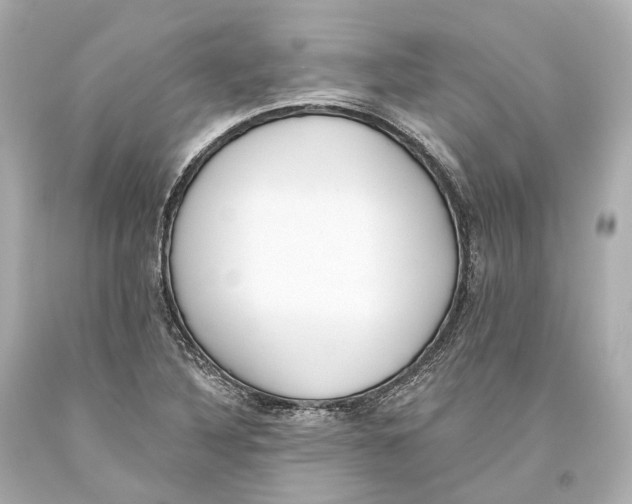 X0000093361316200711011159