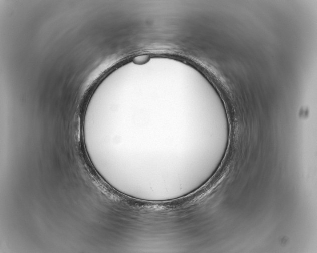 X0000093361317200711011159