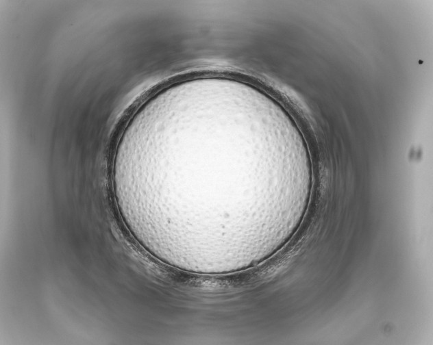 X0000093361318200711011159